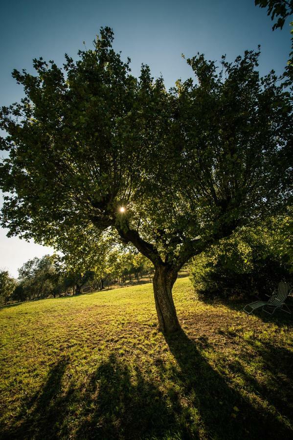Вилла Podere Belvedere Tuscany Понтассьеве Экстерьер фото